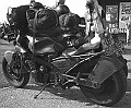Rats 006
